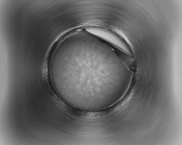 X0000096970923200802221359