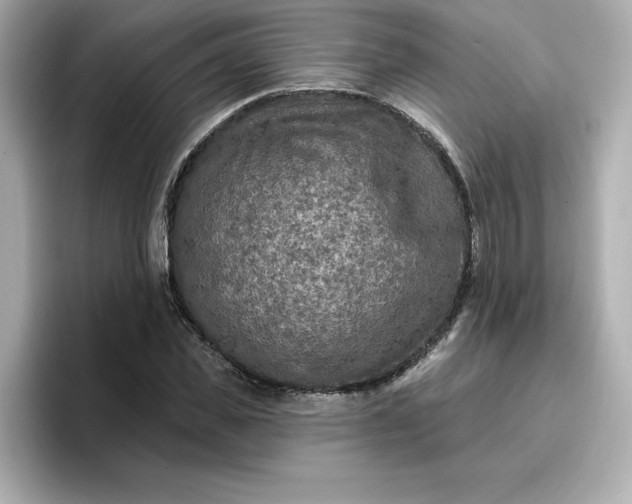 X0000096970925200802221359