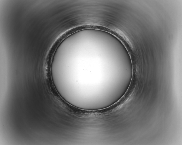 X0000096970926200802221359