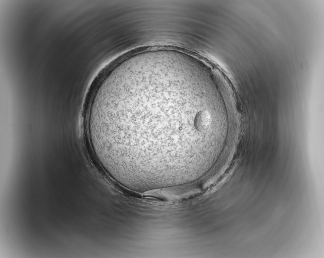 X0000096970928200802221359