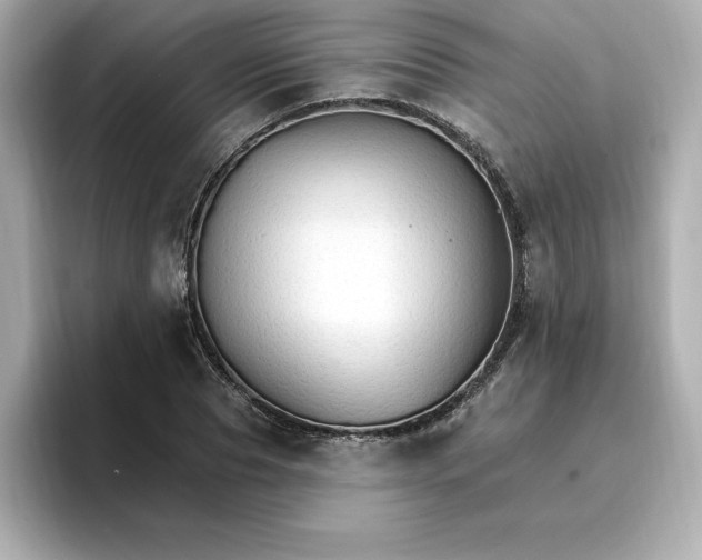 X0000096970929200802221359