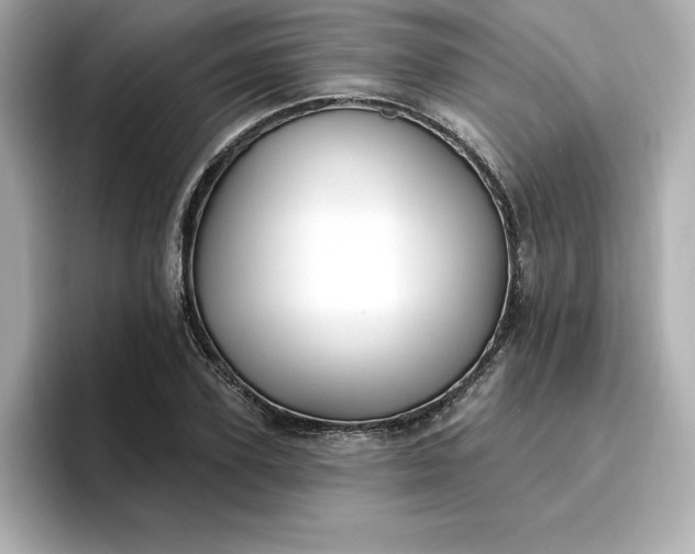 X0000096970931200802221359