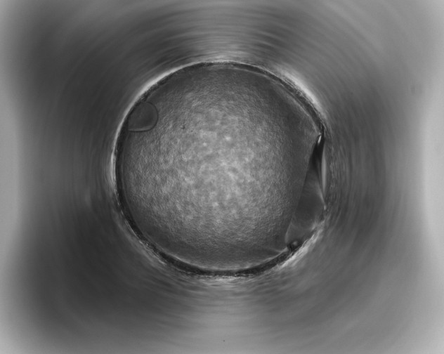 X0000096970932200802221359