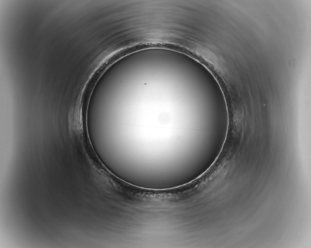 X0000096970934200802221359