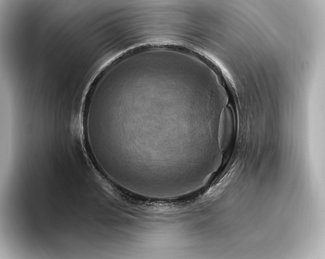 X0000096970935200802221359