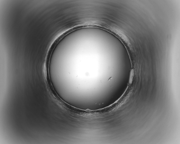 X0000096970936200802221359