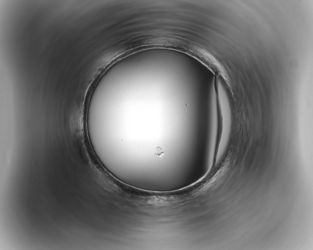 X0000096970938200802221359