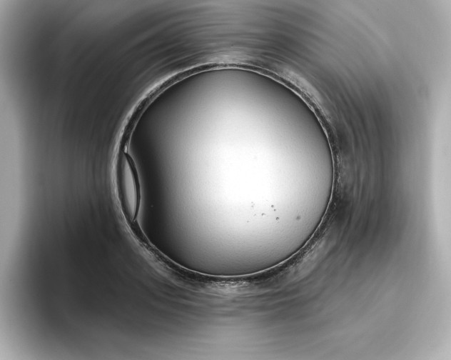 X0000096970939200802221359