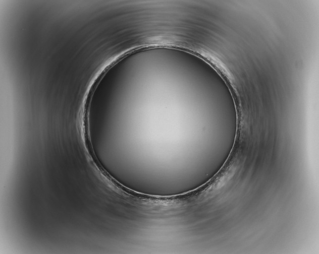 X0000096970941200802221359