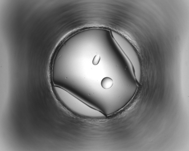 X0000096970942200802221359