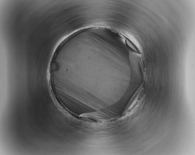 X0000096970944200802221359