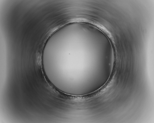 X0000096970945200802221359