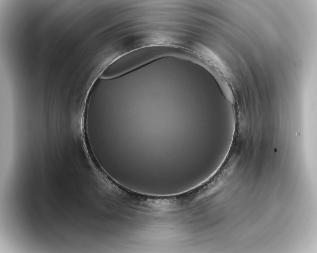 X0000096970946200802221359