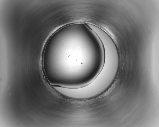 X0000096970948200802221359