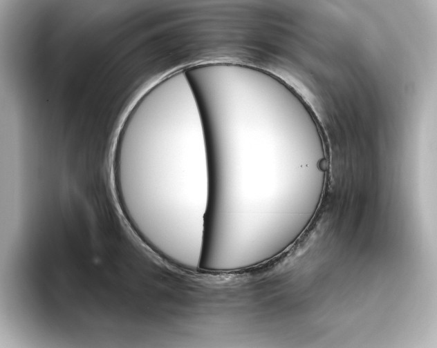 X0000096970949200802221359