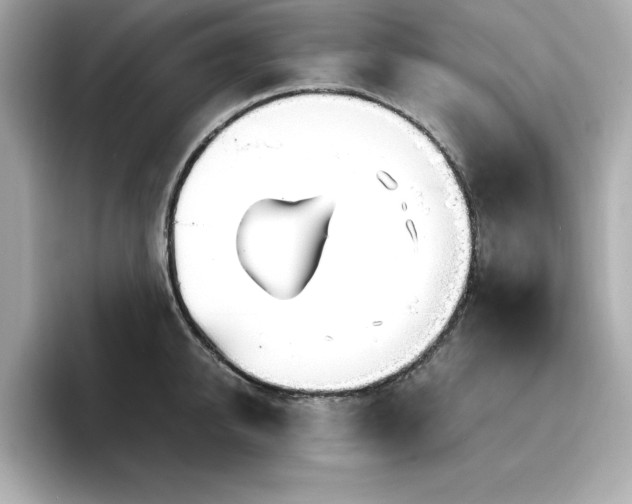 X0000096970950200802221359