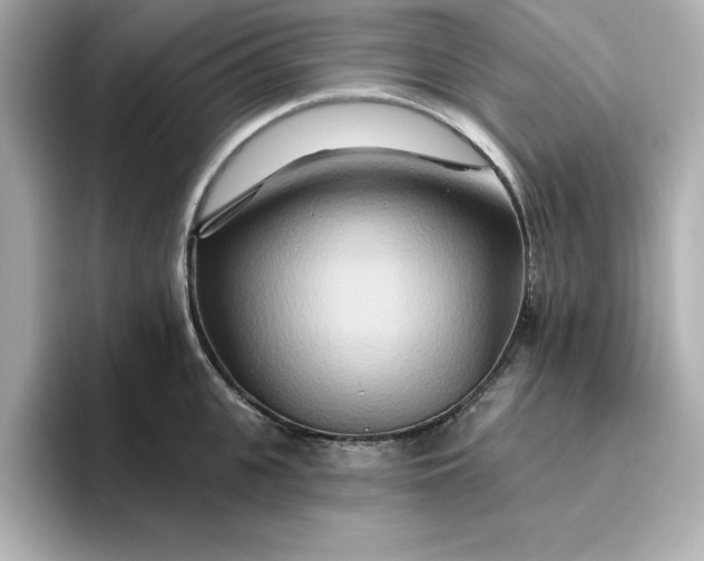 X0000096970951200802221359