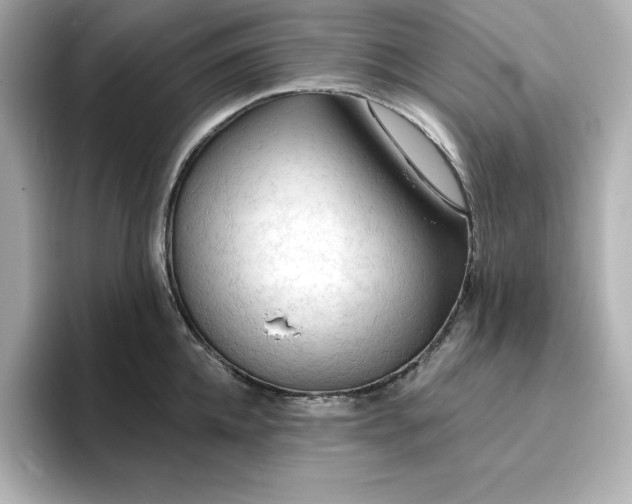 X0000096970952200802221359