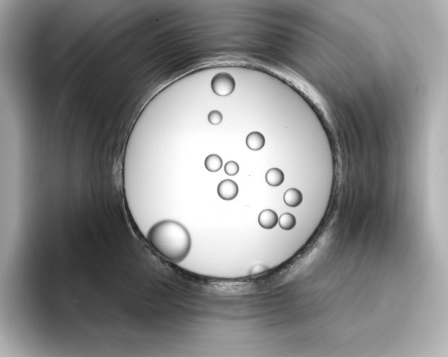 X0000096970953200802221359