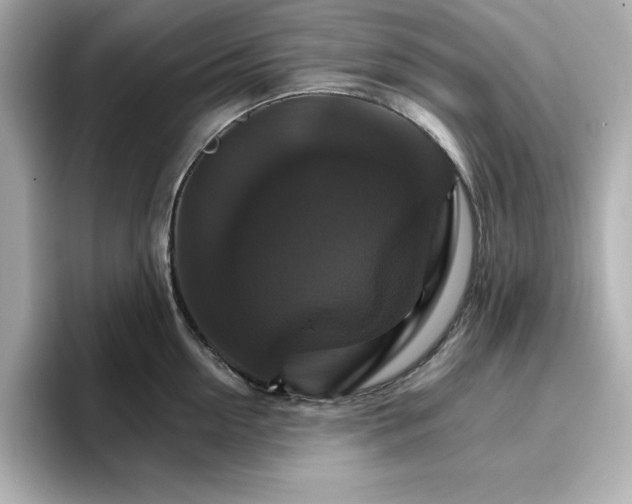 X0000096970954200802221359