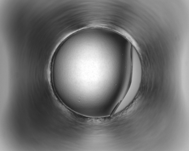 X0000096970955200802221359