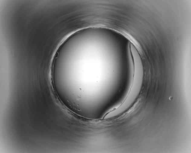 X0000096970956200802221359