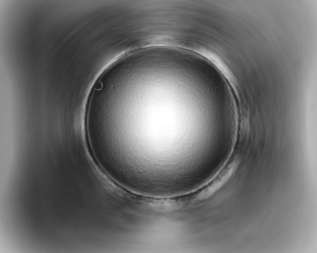 X0000096970957200802221359