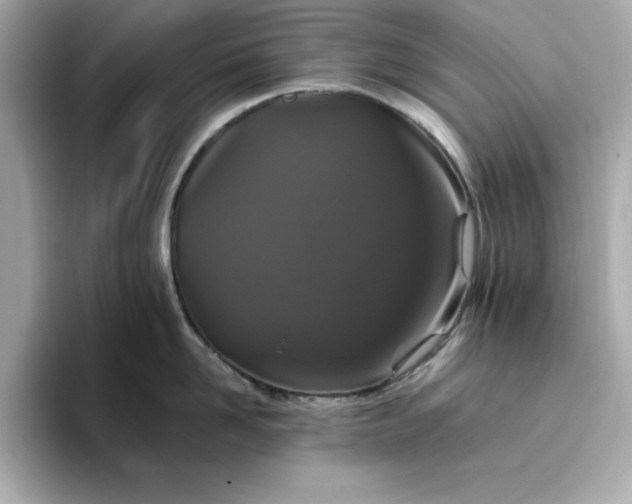 X0000096970958200802221359