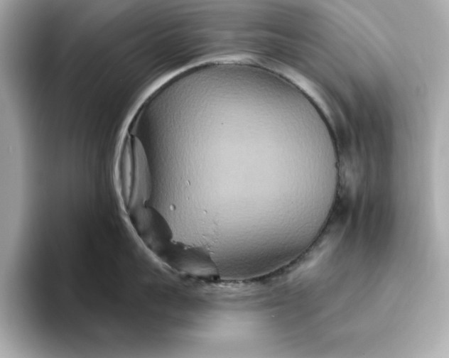 X0000096970959200802221359