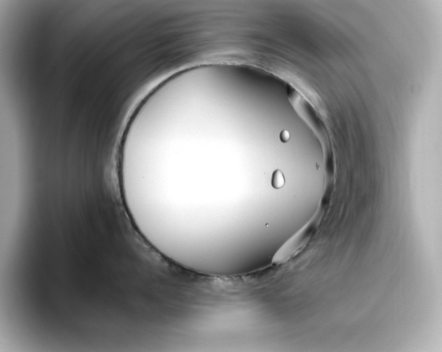 X0000096970960200802221359