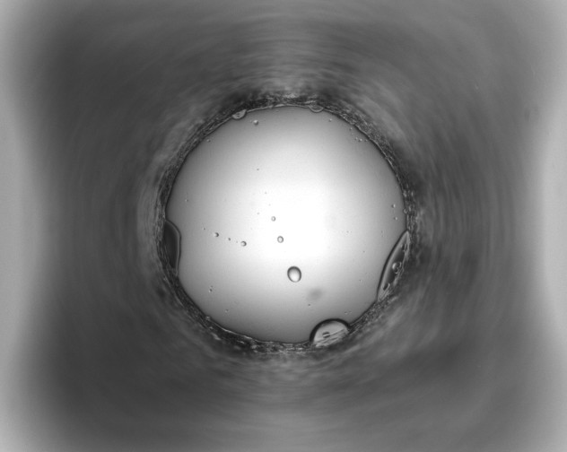 X0000096970961200802221359