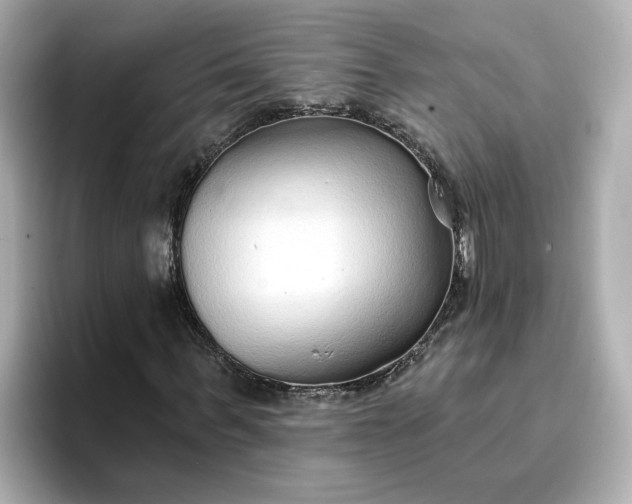 X0000096970963200802221359