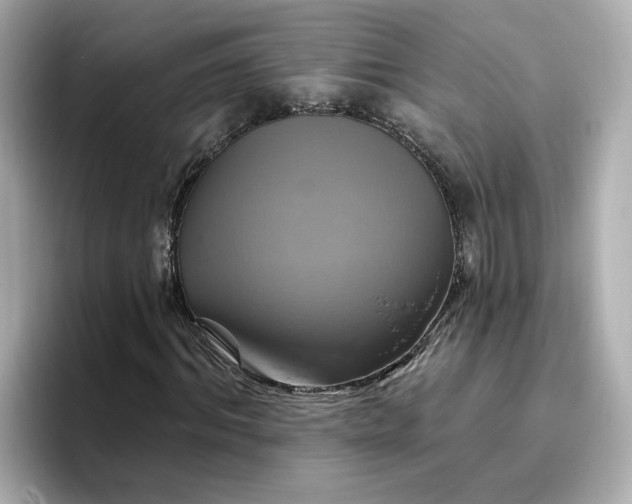 X0000096970964200802221359