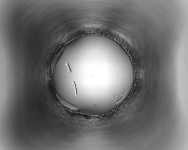 X0000096970965200802221359