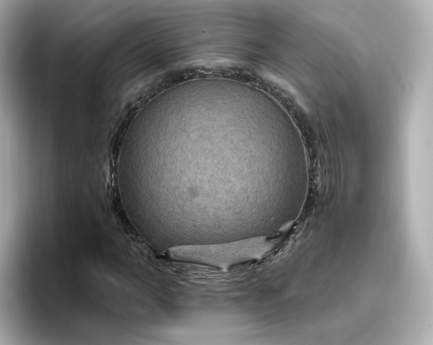 X0000096970966200802221359