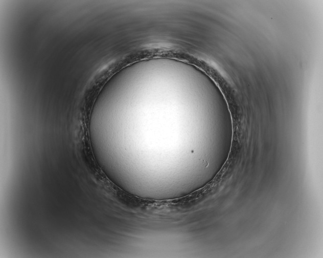 X0000096970967200802221359