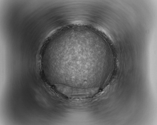 X0000096970968200802221359