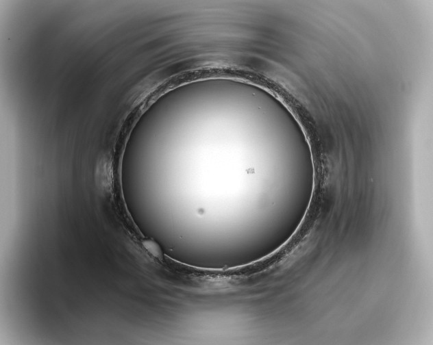 X0000096970969200802221359