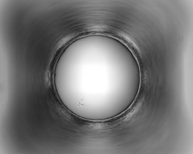 X0000096970970200802221359