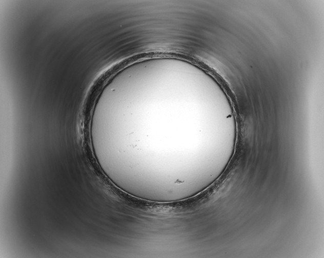 X0000096970971200802221359