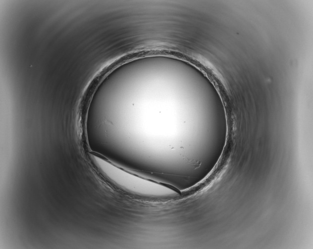 X0000096970973200802221359