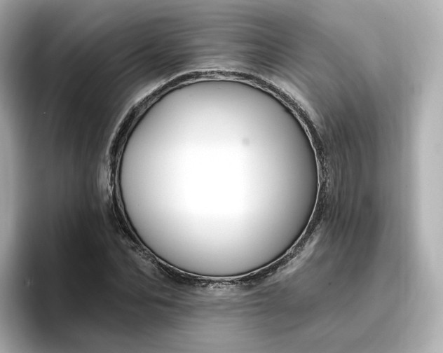 X0000096970974200802221359