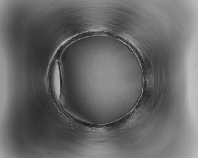 X0000096970975200802221359