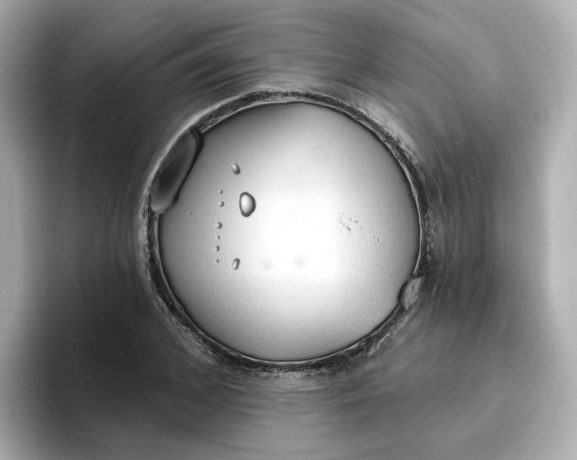 X0000096970976200802221359