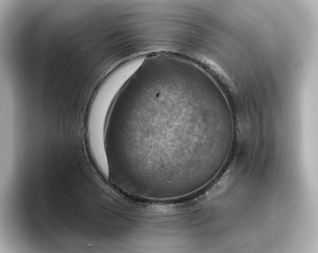 X0000096970977200802221359