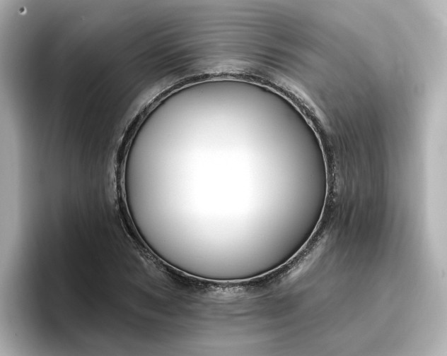 X0000096970978200802221359