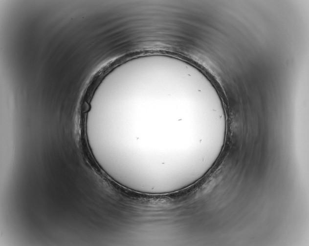 X0000096970979200802221359