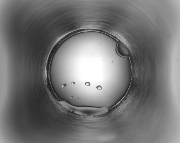 X0000096970980200802221359