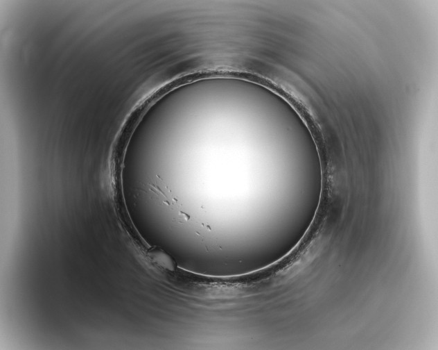 X0000096970981200802221359