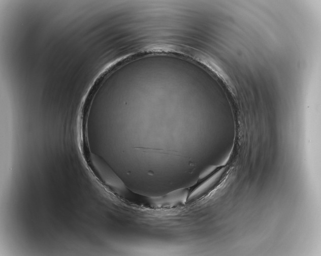 X0000096970984200802221359